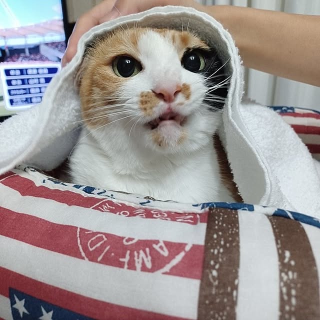 nanaさんの部屋