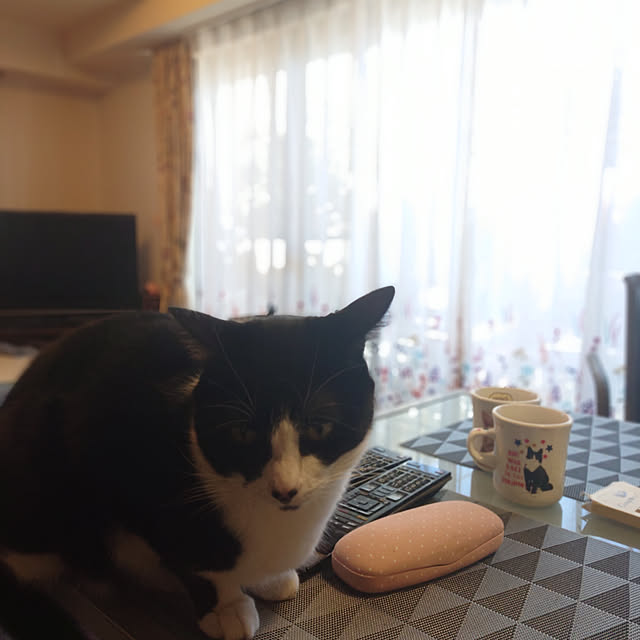 okyosan101さんの実例写真