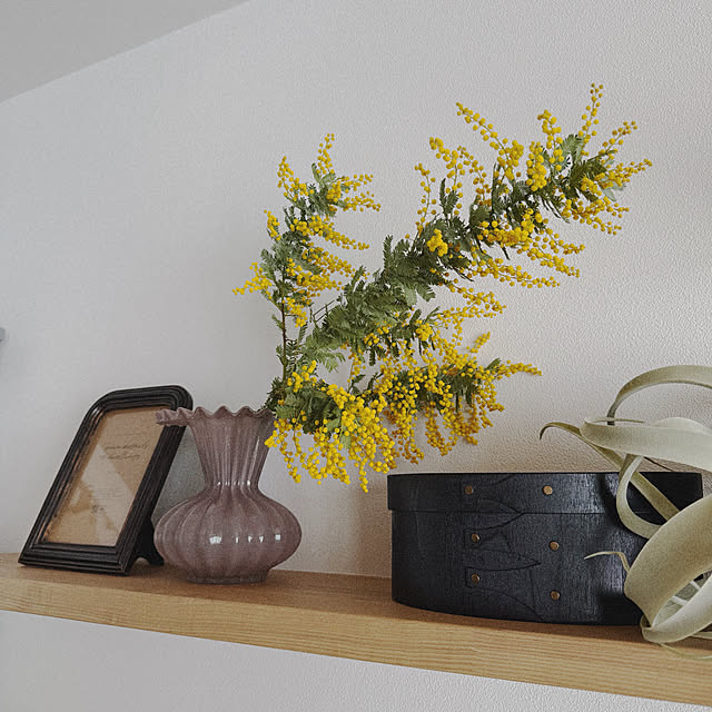 shior_i1108さんの実例写真