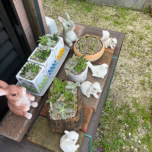 ritsukoさんの部屋