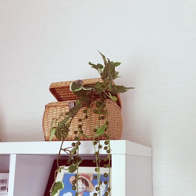 toshiさんの実例写真