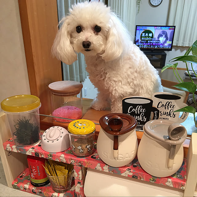 kakoさんの実例写真