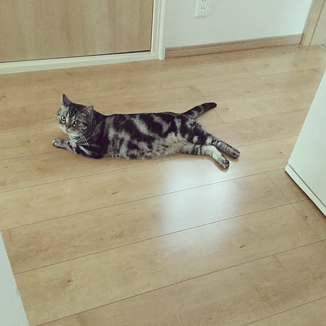 richanさんの実例写真