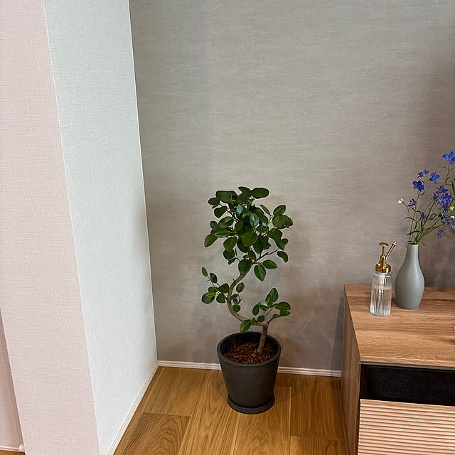 runaさんの実例写真