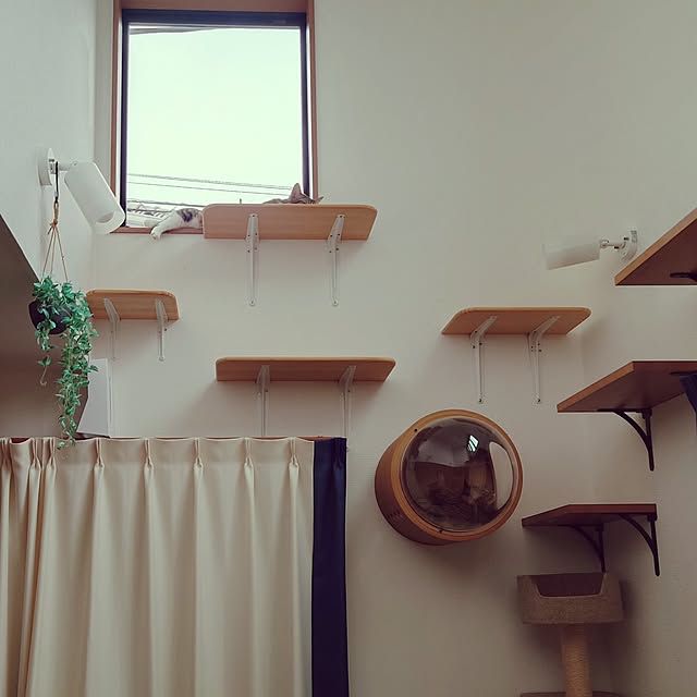 mochicoさんの実例写真