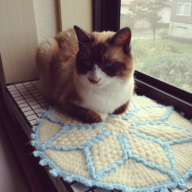 NPGHさんの実例写真
