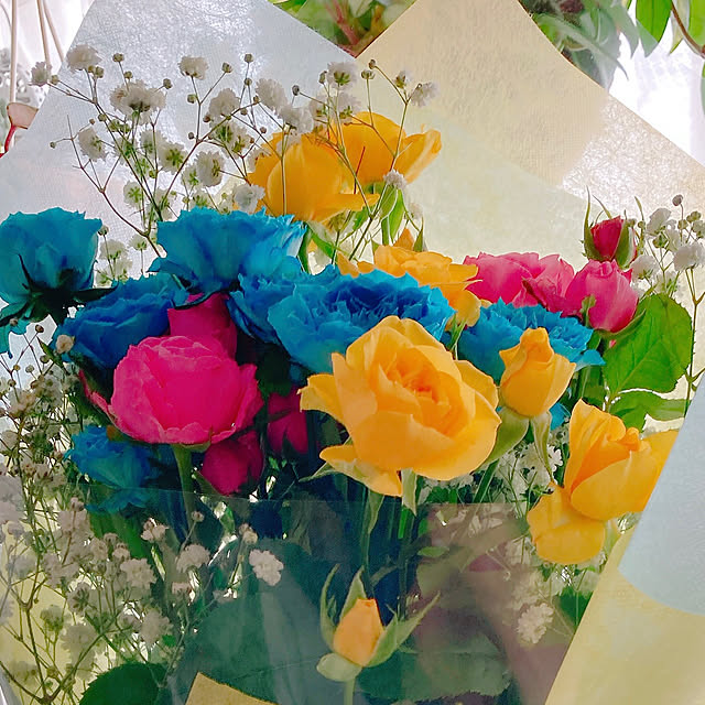 Hanakaさんの部屋