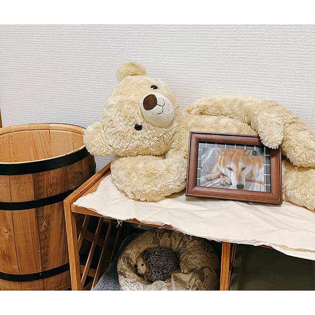 harukaさんの実例写真