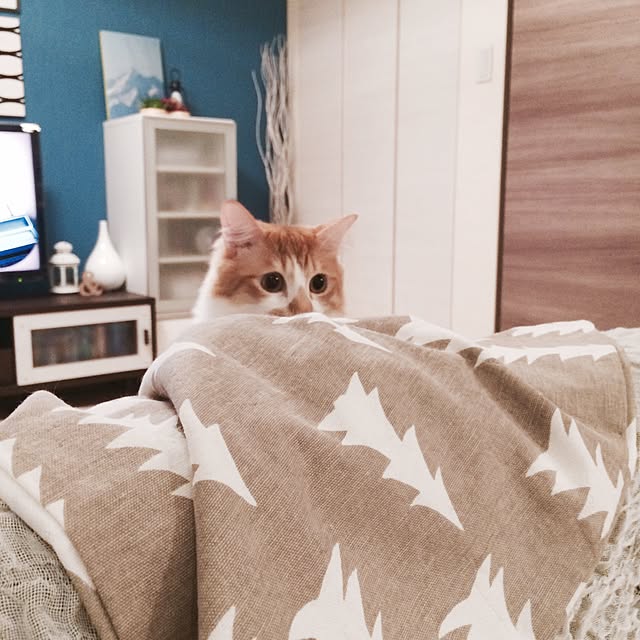 Reikoさんの実例写真