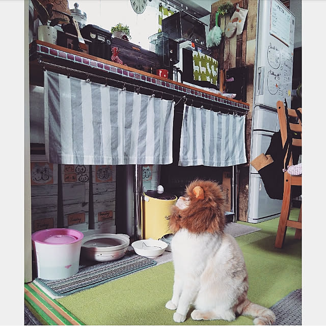 mntcさんの実例写真