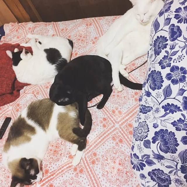 rienaさんの実例写真