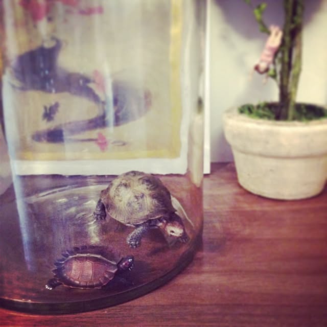 amanaさんの実例写真