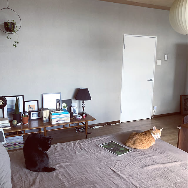 lalaさんの実例写真