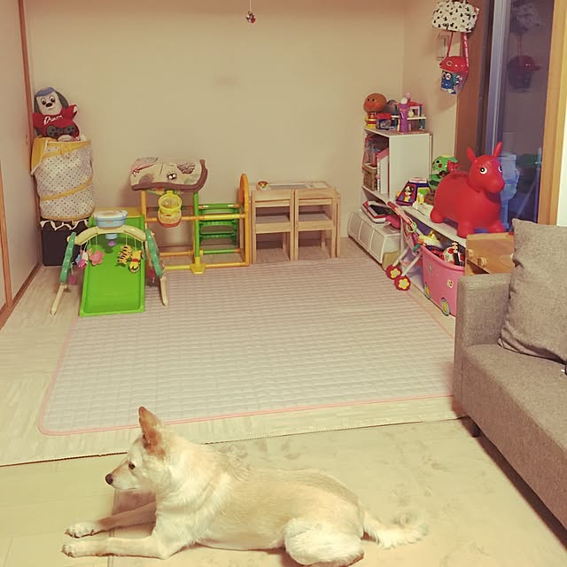 umekoさんの実例写真