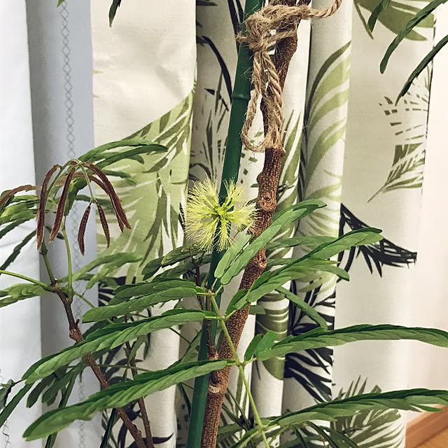 twatchhomeさんの実例写真