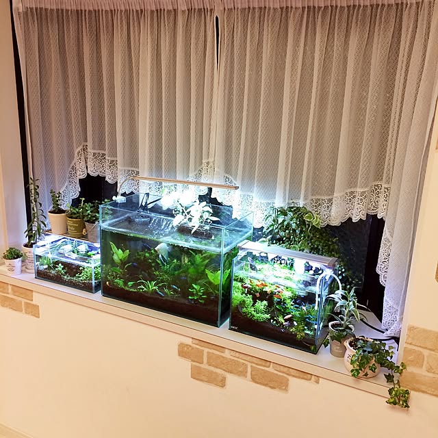 konomiさんの実例写真