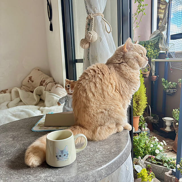 naokoさんの部屋