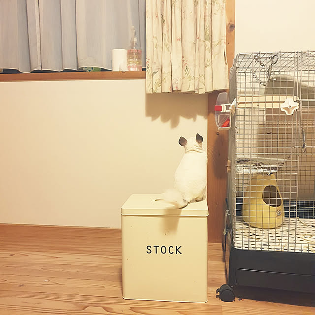 uznyanさんの実例写真
