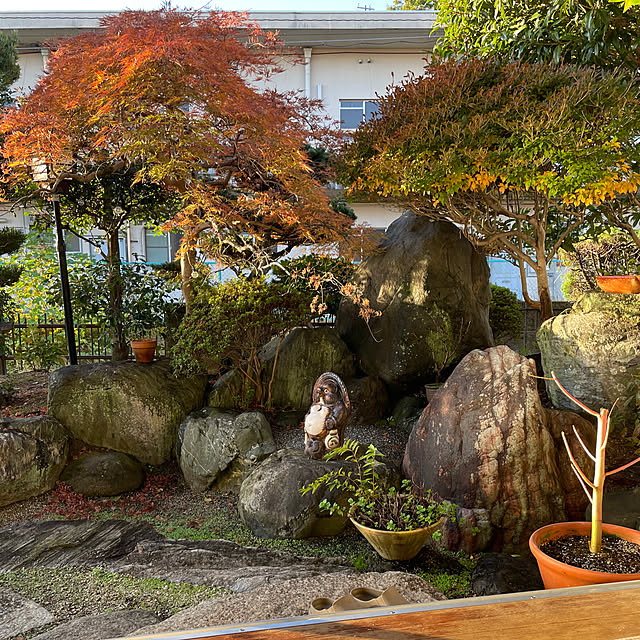 shin0719さんの部屋