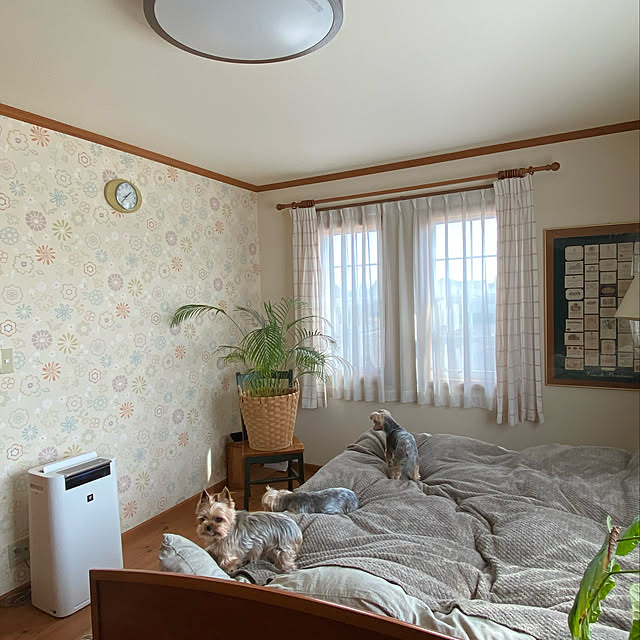 misacoさんの実例写真