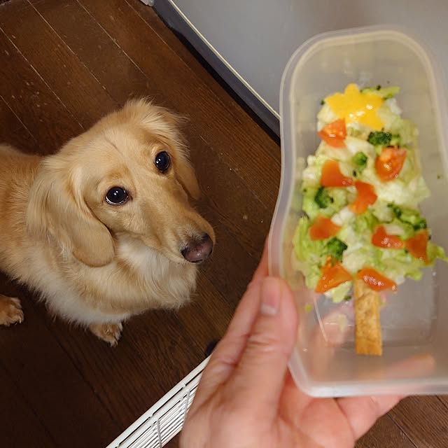 JUNMARIKAさんの部屋