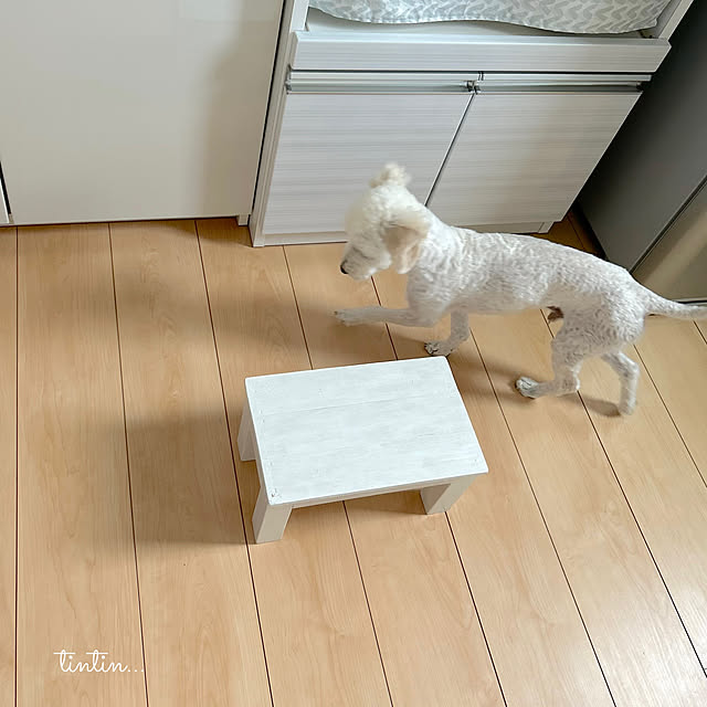 tintinさんの部屋