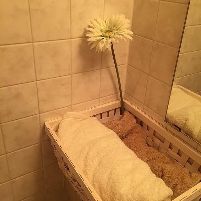 バス/トイレのインテリア実例 - 2014-11-21 00:29:57