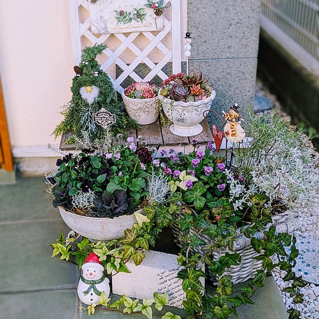 purpureさんの実例写真