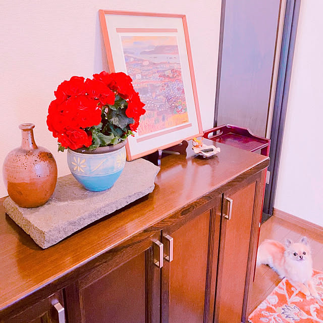 hanaさんの実例写真