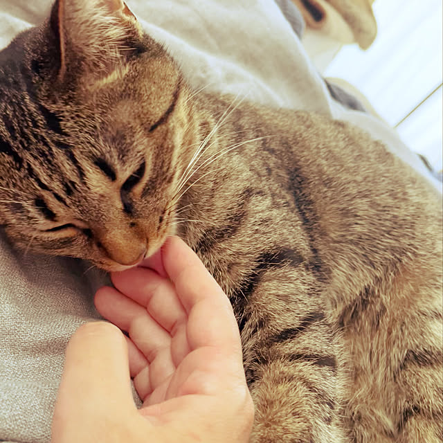 Mさんの実例写真