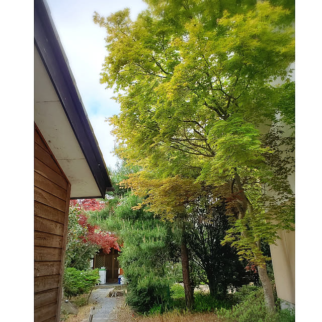 cherrycherryさんの実例写真