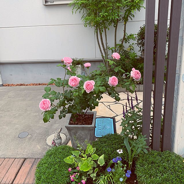 kekokekoさんの実例写真
