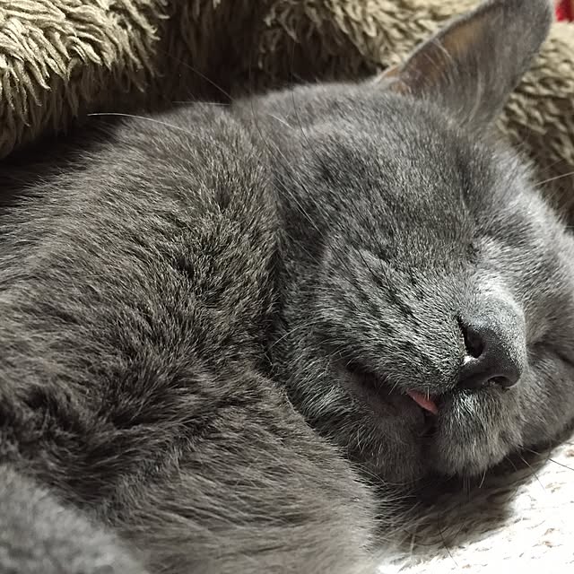 8717さんの実例写真