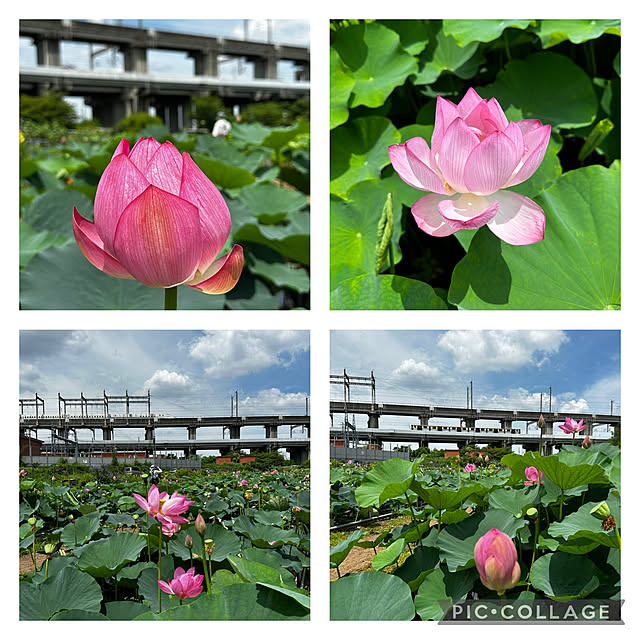 mizucchiさんの部屋