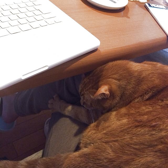 Junさんの実例写真