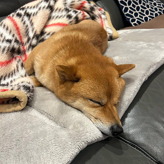 banbinaさんの部屋