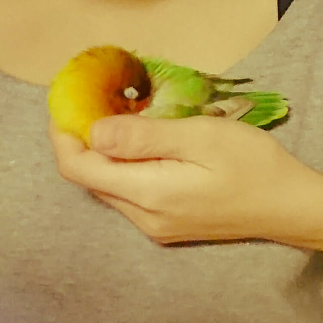 s.p.sunaoさんの実例写真