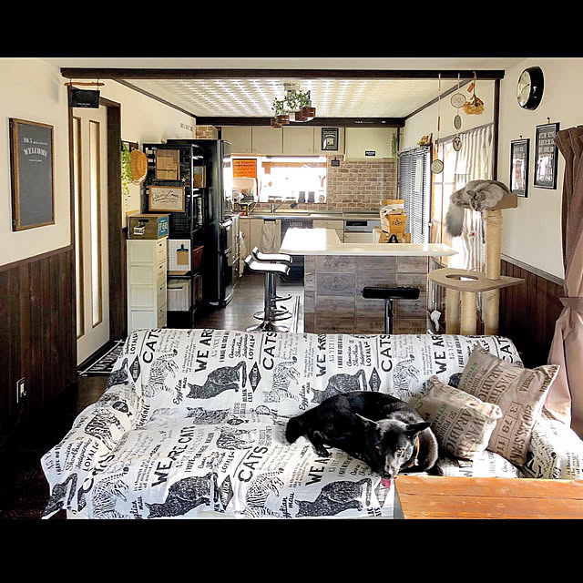 犬と猫のいる暮らし/保護犬/ペットのいる暮らし/ペットインテリア/猫柄...などのインテリア実例 - 2019-09-10 09:42:06