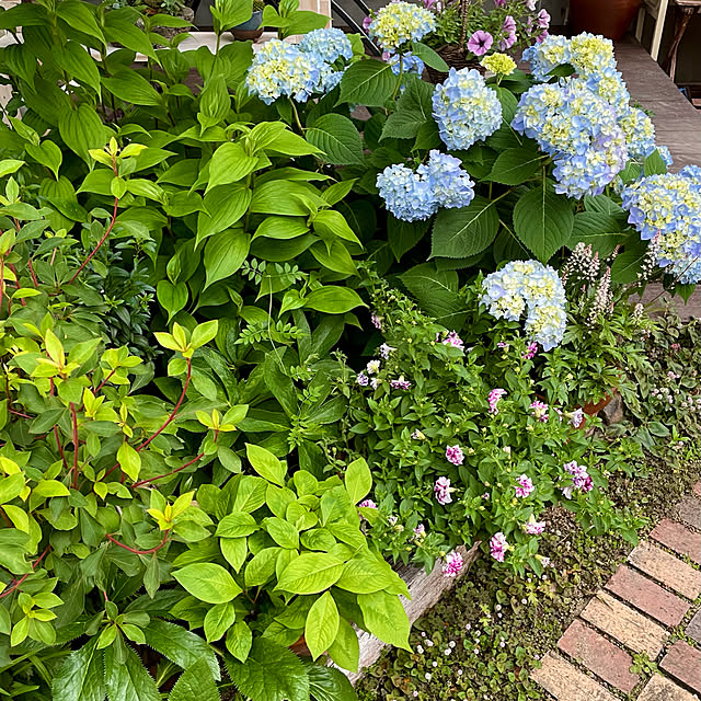 nobikoさんの実例写真