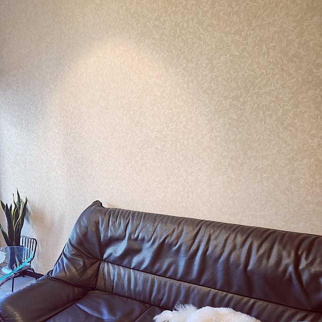 takoさんの実例写真