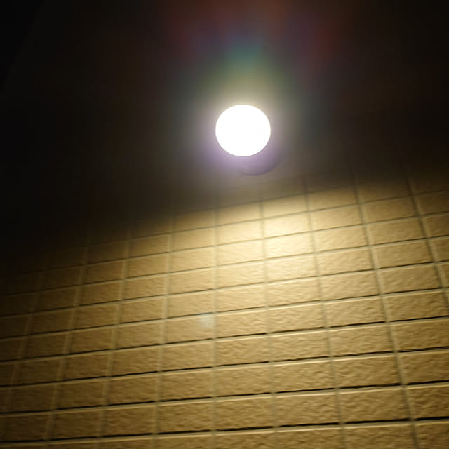 cotton100さんの実例写真