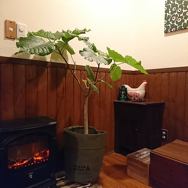 demetanさんの実例写真
