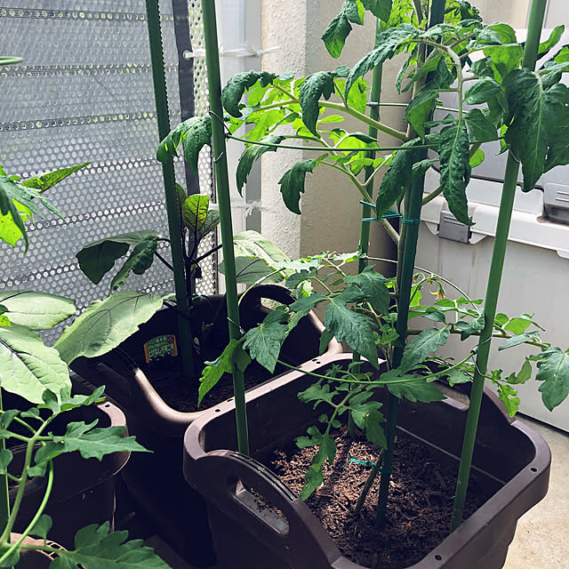 hanachanさんの部屋