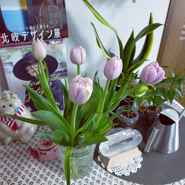 72matoさんの実例写真