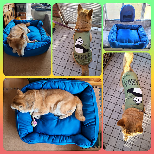 nanaさんの実例写真