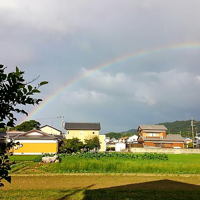 noa-houseさんの実例写真