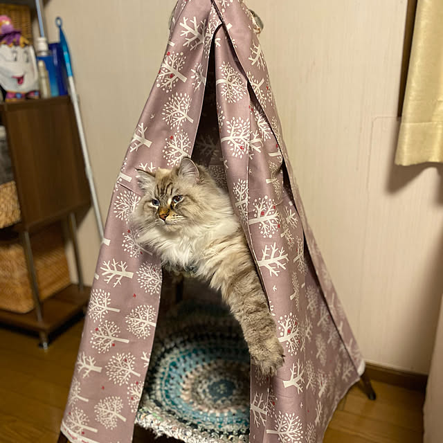 harumahoさんの実例写真