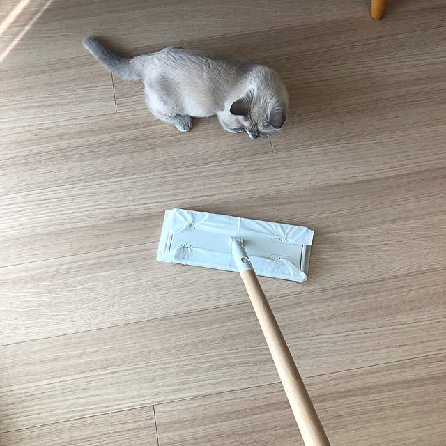 blackbunnyさんの実例写真