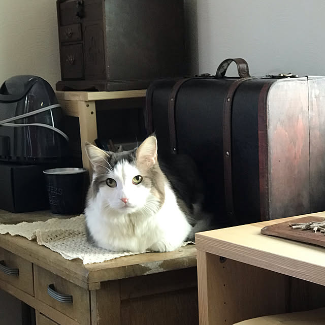 masakoさんの実例写真