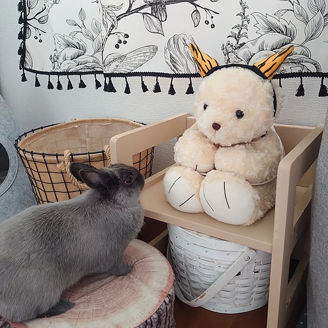 kirariさんの実例写真